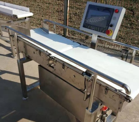 皮帶式重量分揀機